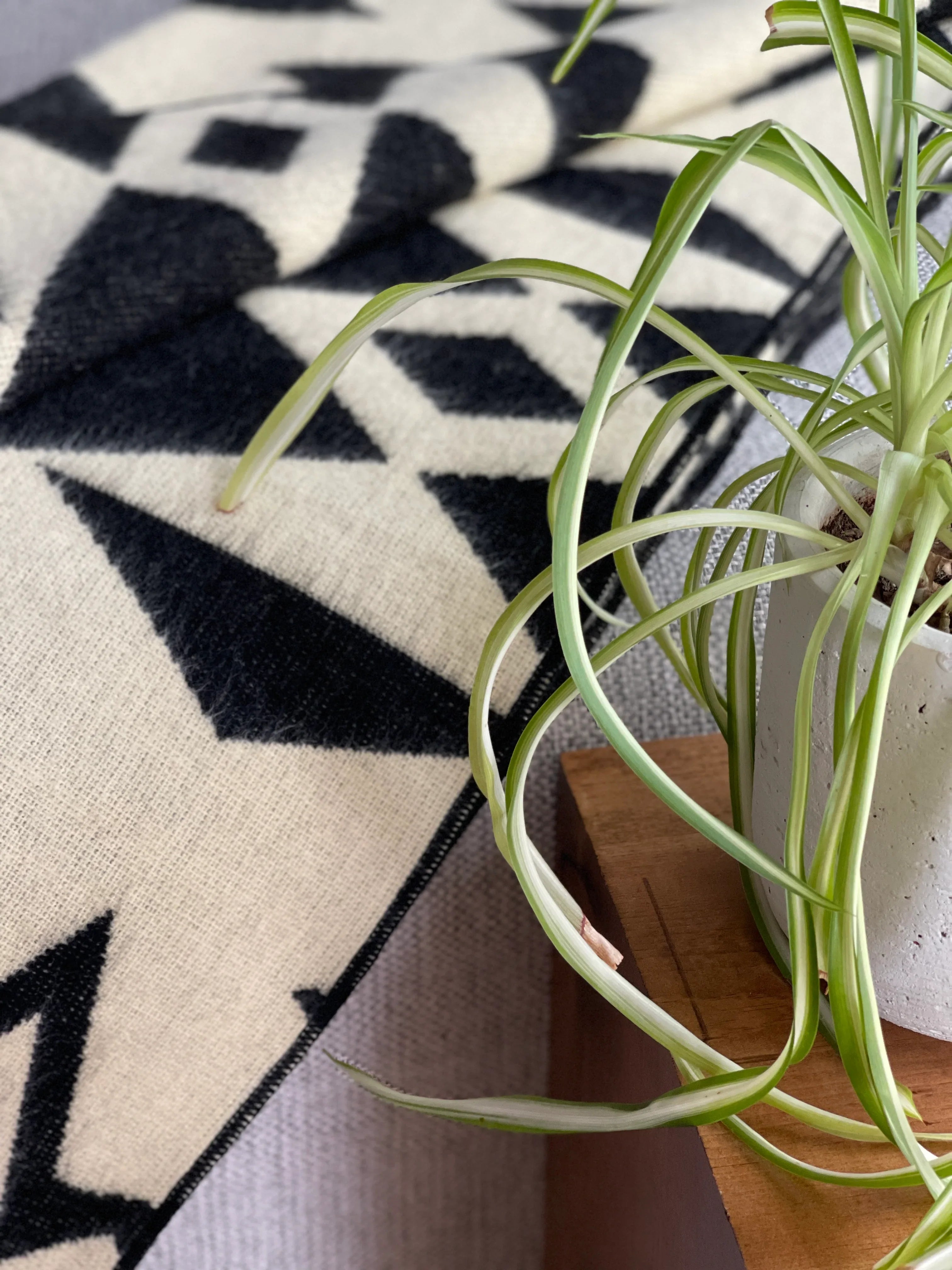 Awa Throw Blanket - Natural / Black